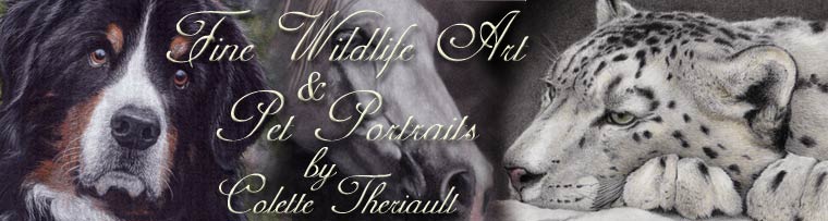 Pet Portraits and Wildlife Art by Canadian Animal Artist Colette Theriault