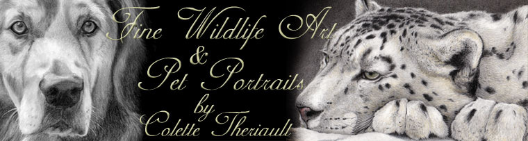 Pet Portraits and Wildlife Art by Fine Artitist Colette Theriault
