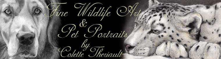 Pet Portraits and Wildlife Art by Fine Artitist Colette Theriault