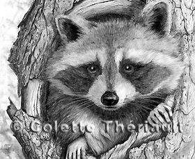 Wildlife Art Drawings