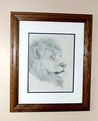 African Lion Portrait