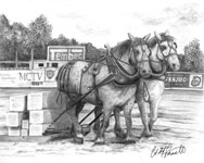Original Pencil Drawings &  Paintings Equine Pet Portrait Artist