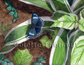 Fauna Flora Wildlife Art Paintings