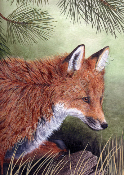 Red Fox Wildlife Painting