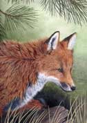 Wild Animal Paintings