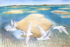 Wildlife Artist Painting