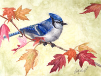 Bird Artist