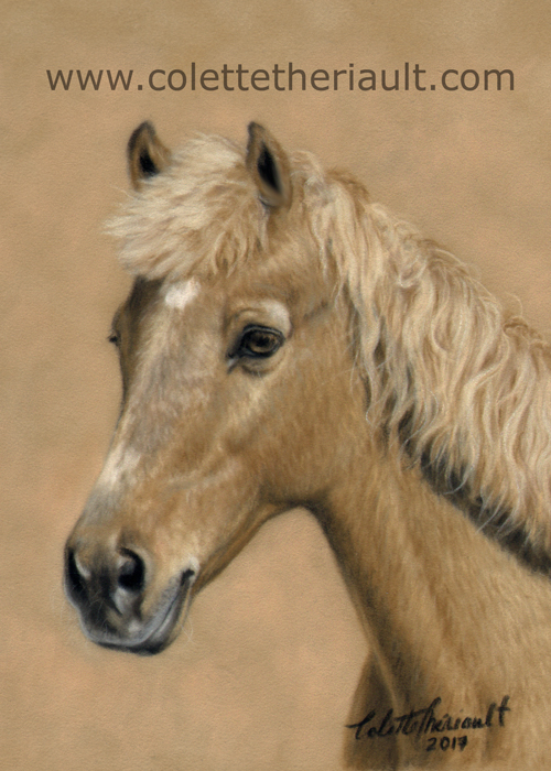 Palomino horse painting