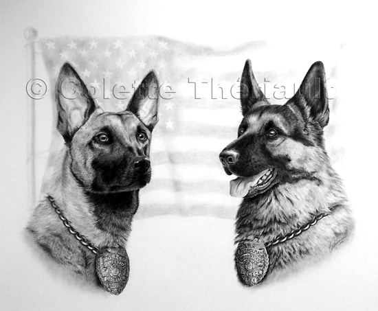 German Shepherd Police Dog Pet Portraits