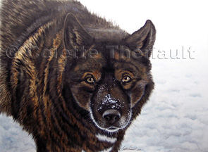 Animal Pet Portrait Paintings