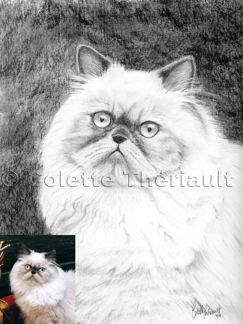 Cat Pet Portrait Artist Portraits