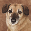 mix breed dog painting