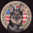 police k-9 portrait of german shepherd dog