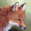 red fox painting detailed watercolor 