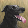 painting of black labrador