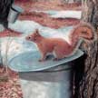 wildlife art of red squirrels painting in pastel