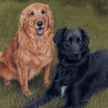 dog pet portrait commission