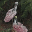 pastel painting of roseate pink spoonbills
