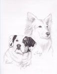 Original Pencil Drawings &  Paintings Dog Pet Portrait Artist