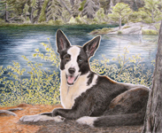dog portrait with detailed background