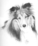 Custom Pet Portraits