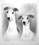 Original Pencil Drawings &  Paintings Dogs Pets Portraits Artists