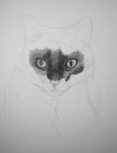 work in progress cat eyes