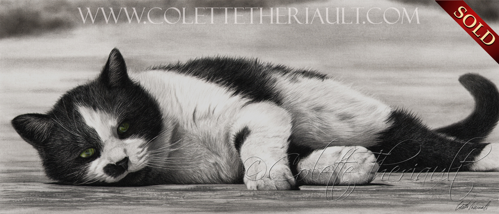 Sleeping Cat drawing pencil charcoal