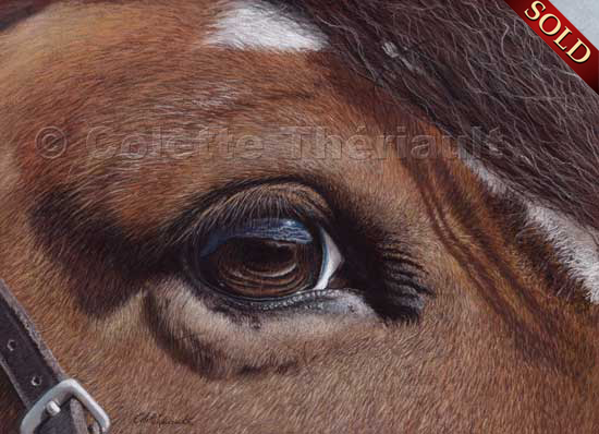 horse eye reflection pastel painting