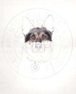 Police dog portrait work in progress