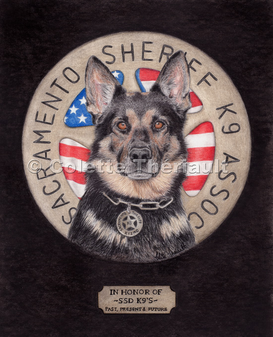 German Shepherd Police Service Working K9 dog- Portrait drawing