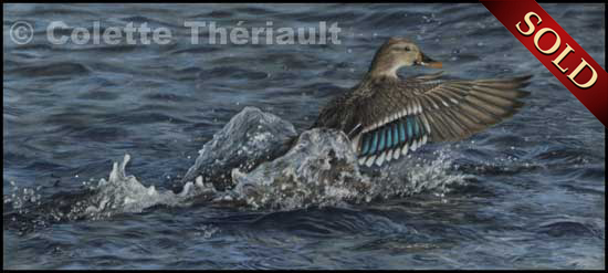 Mallard duck female painting