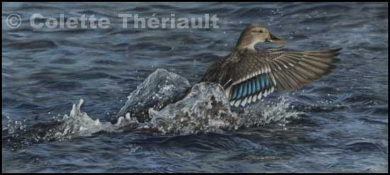 Waterfowl painting of female mallard duck in pastel-Wildlife Art