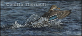 finished duck painting in pastel
