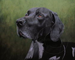 pointer pastel painting step 4