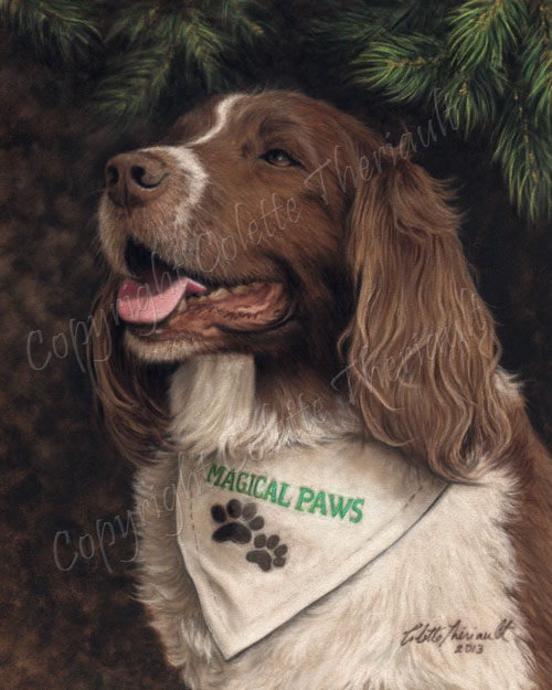 Springer Spaniel Painting Pet Portrait