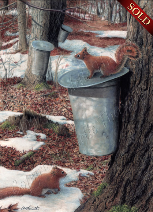 Red Squirrels painting pastel on velour