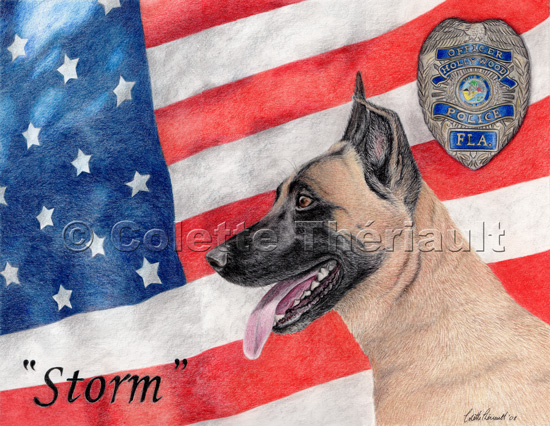 Malinois (Belgian Shepherd) Police dog K9 - memorial portrait tribute