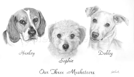 dog group pencil portrait