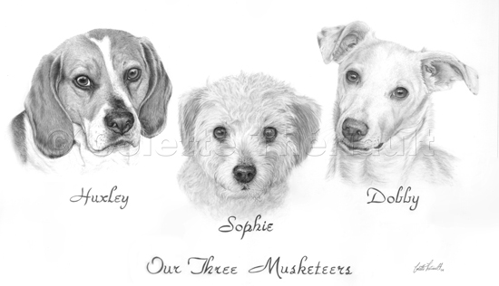 CUSTOM pencil portrait of your dog cat from your photo animal commission 