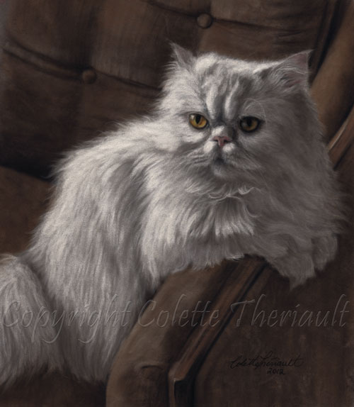 White Persian Cat Painting in Pastel