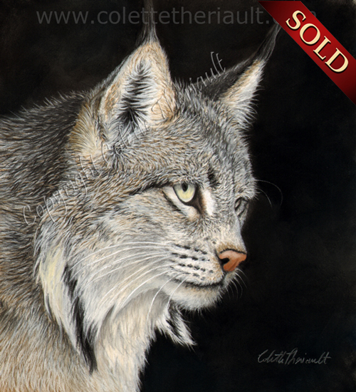 Canada Lynx Painting