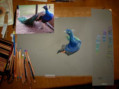 Bird Painting in progress