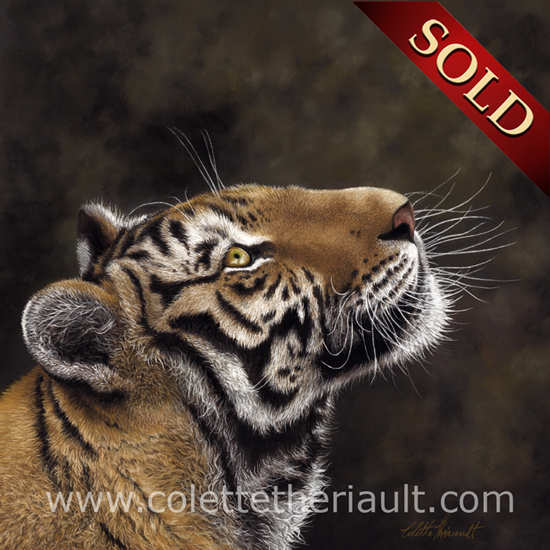 Siberian Tiger wildlife painting pastel