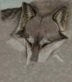step 4 wolf painting