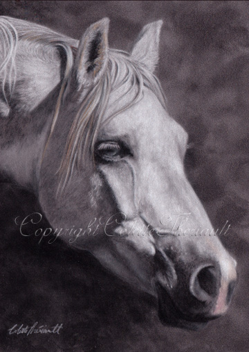 Arabian Horse Pastel Painting 