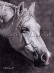 Horse Pet Portraits paintings