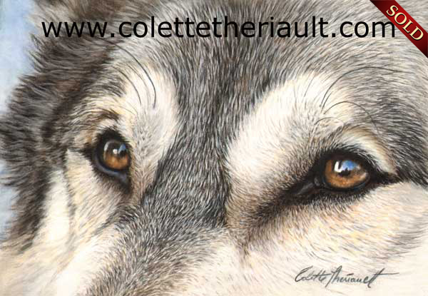 wolf eyes pastel painting