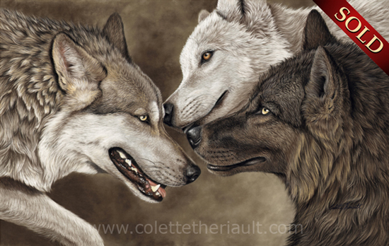 Grey Timber wolves painting