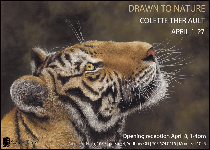 solo exhibition Colette Theriault